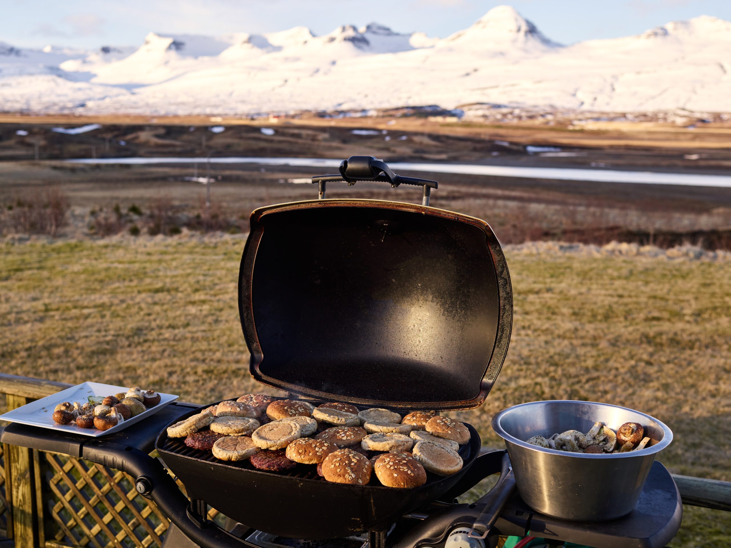 small portable camping grills